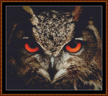 The Owl Stare (SMALL)  