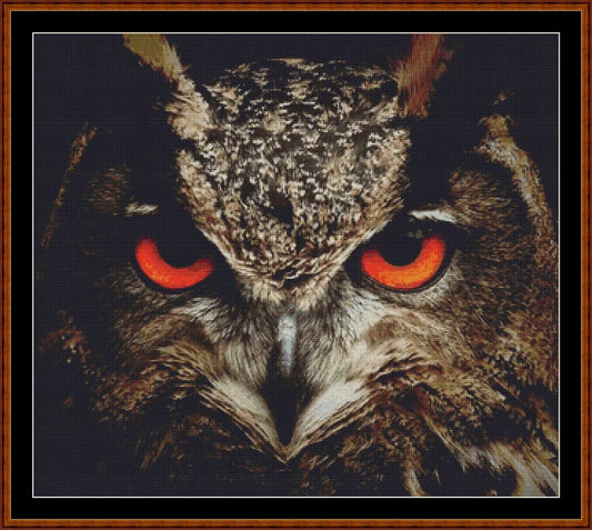 The Owl Stare (SMALL)  