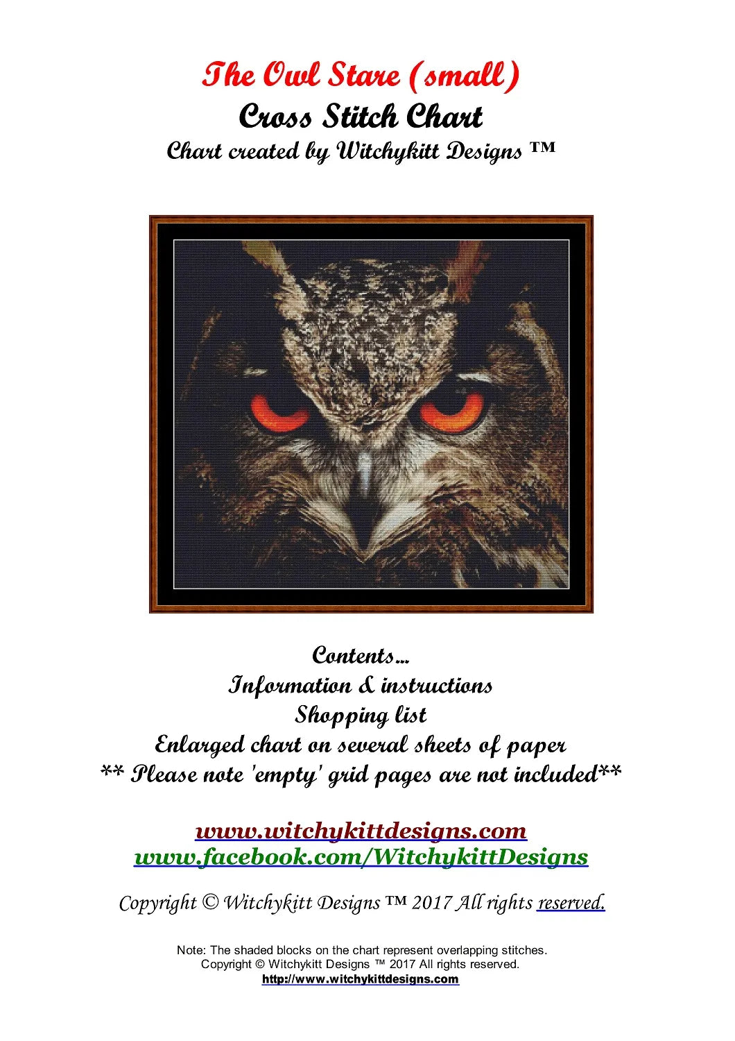 The Owl Stare (SMALL)  