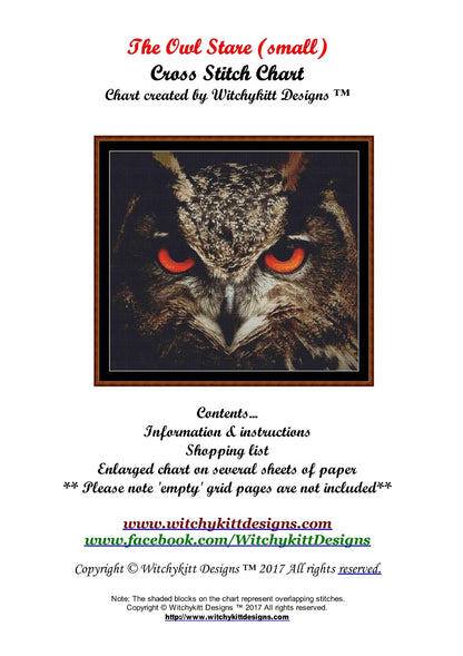 The Owl Stare (SMALL)  