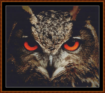 The Owl Stare (SMALL)  