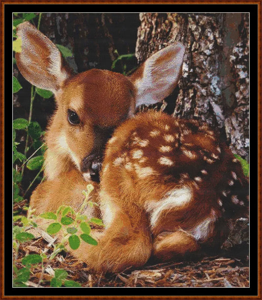 Morning Nap