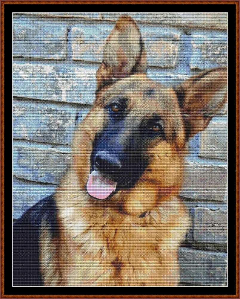 German Shepherd  