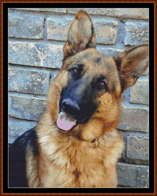 German Shepherd  