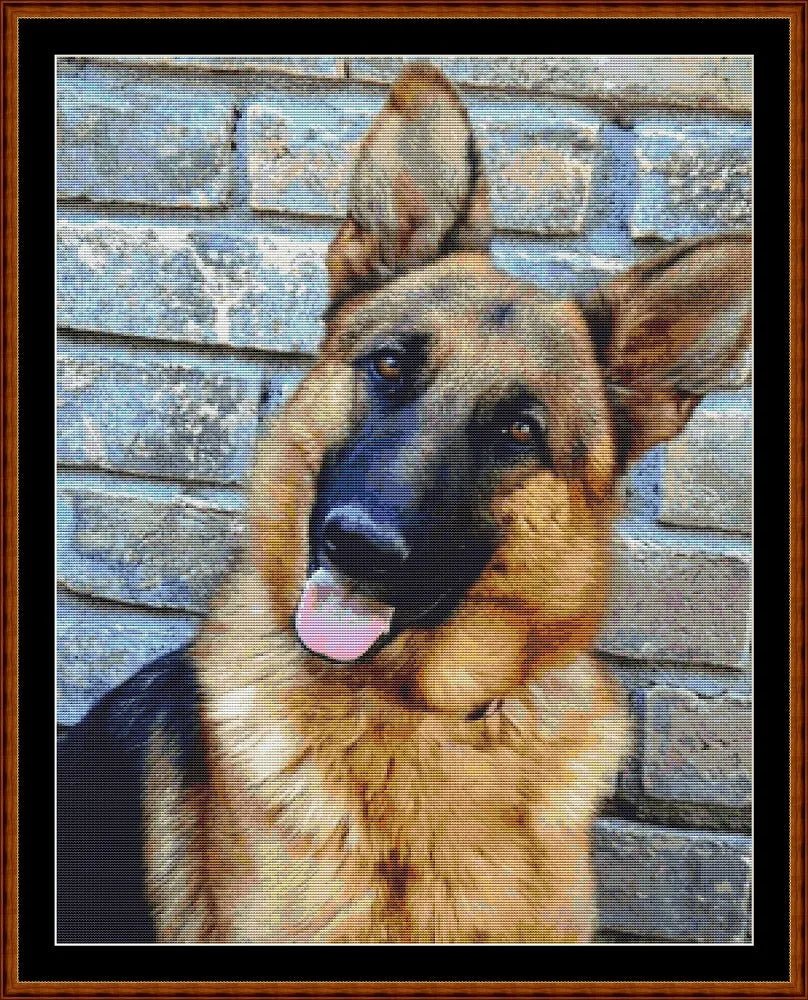 German Shepherd (SMALL)  