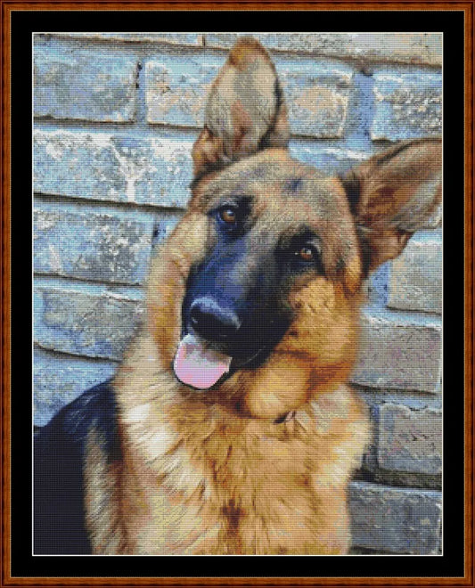 German Shepherd (SMALL)  