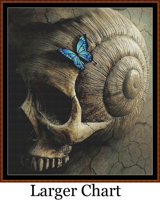 The Fossil  