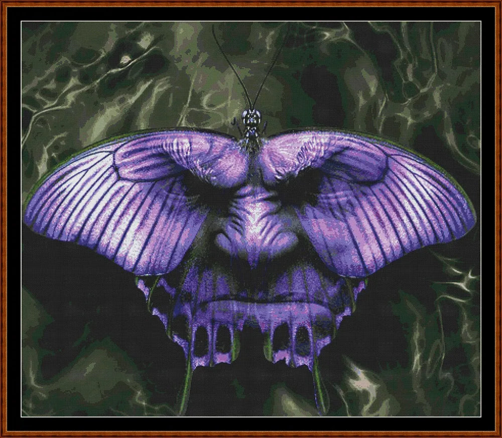 Butterfly Face  