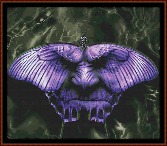 Butterfly Face  