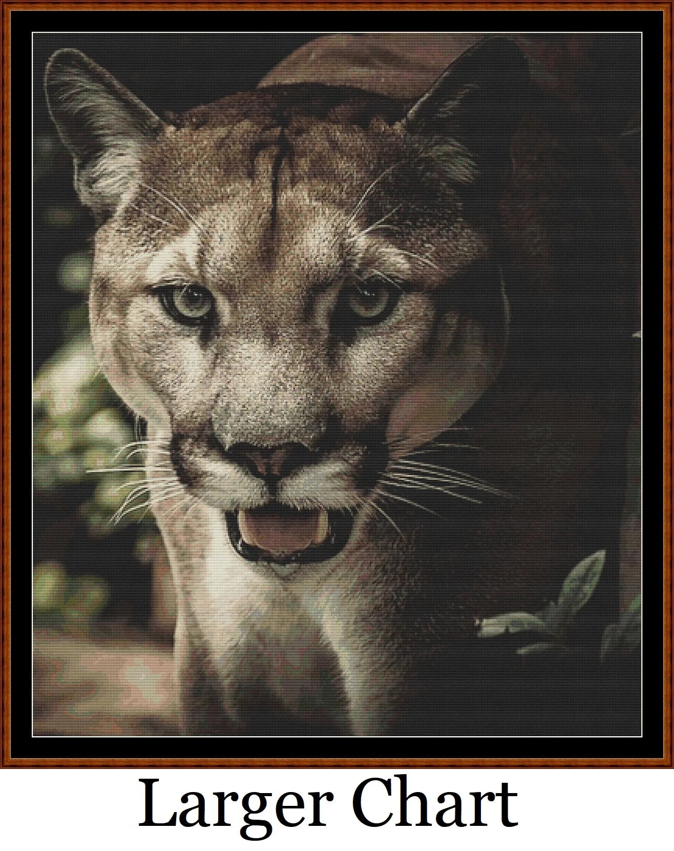 Puma  