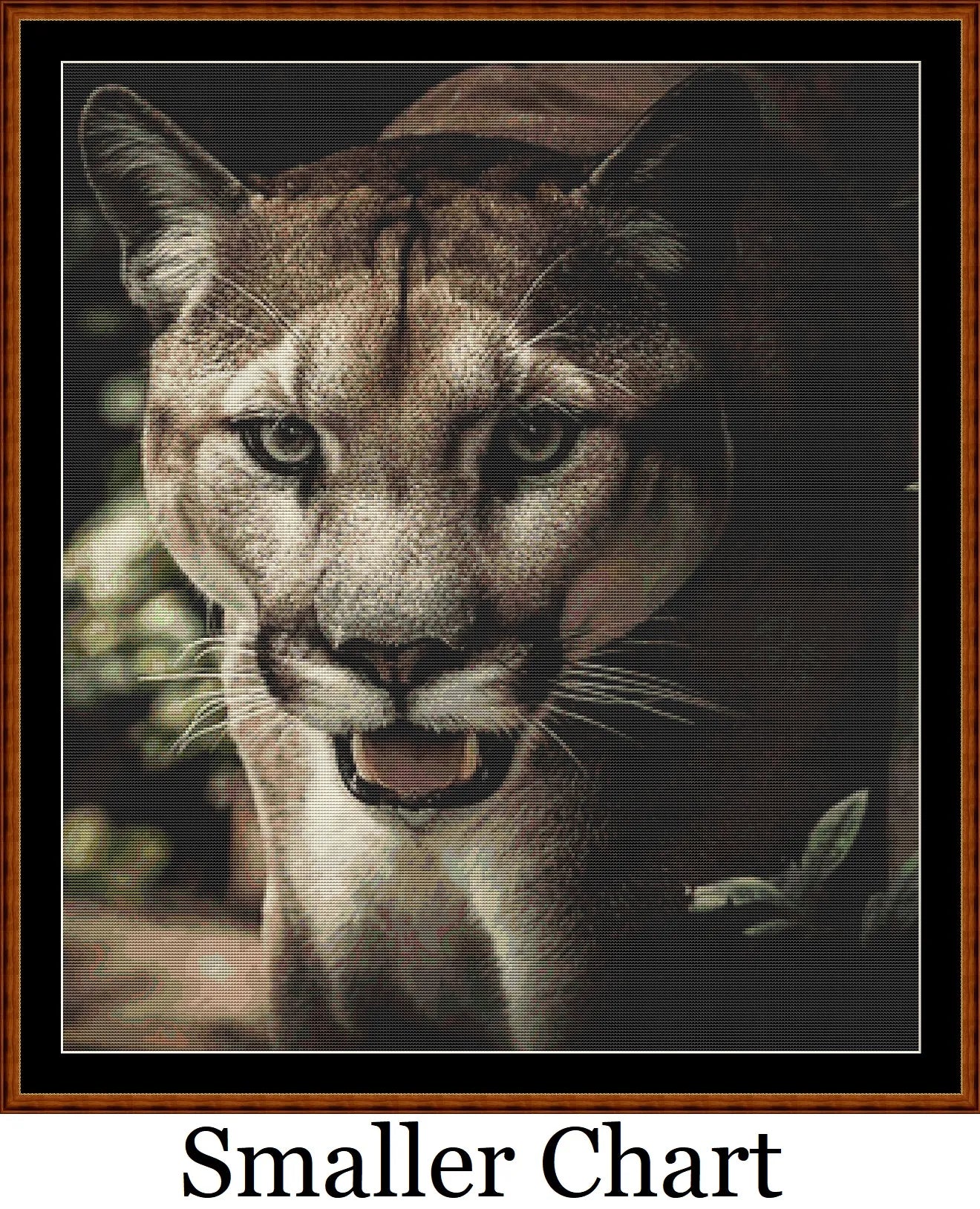 Puma  