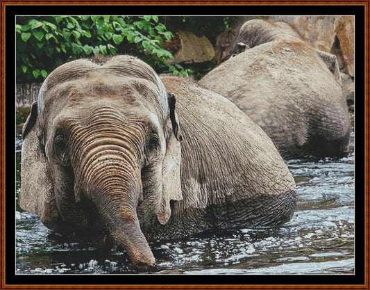 Taking A Dip patterns created from a photo by Tee_zett under CC0 license