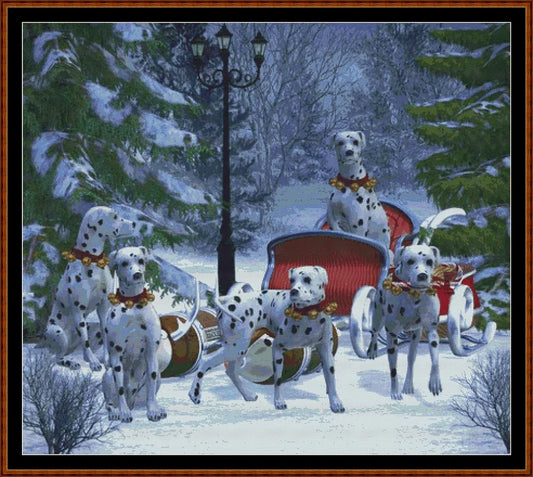 Dalmatians  