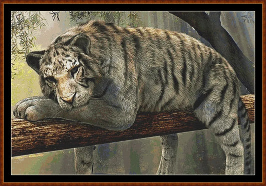 Sleepy Tiger  