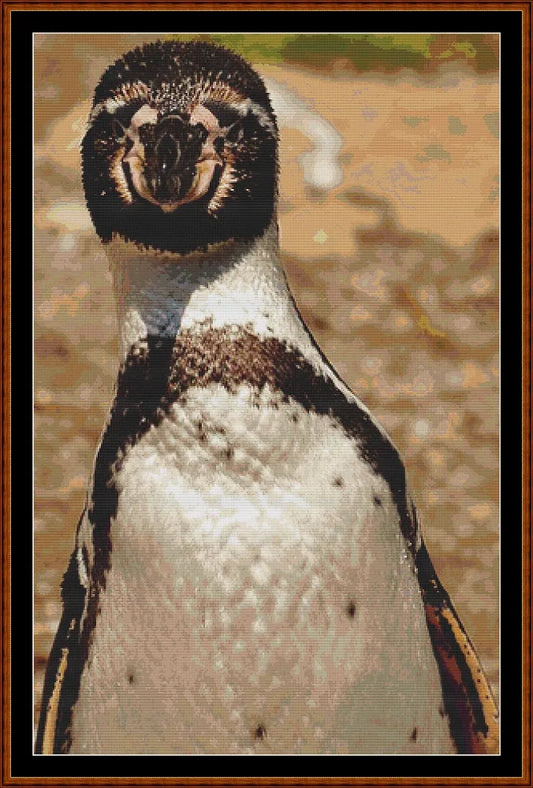 Hello There penguin patterns created from a photo by Alexa (Alexas_Fotos) under CC0 license