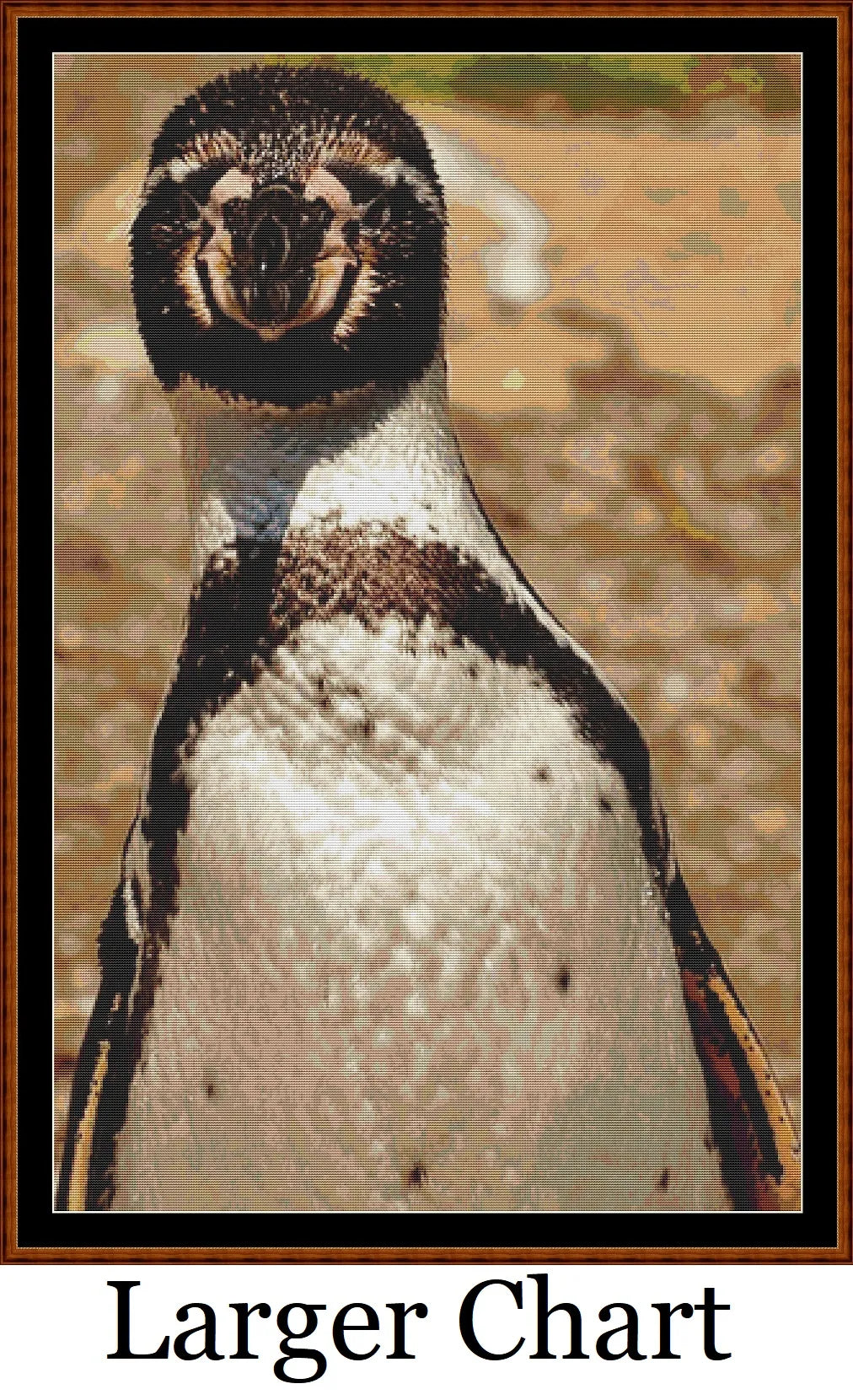Hello There penguin patterns created from a photo by Alexa (Alexas_Fotos) under CC0 license