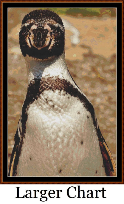 Hello There penguin patterns created from a photo by Alexa (Alexas_Fotos) under CC0 license