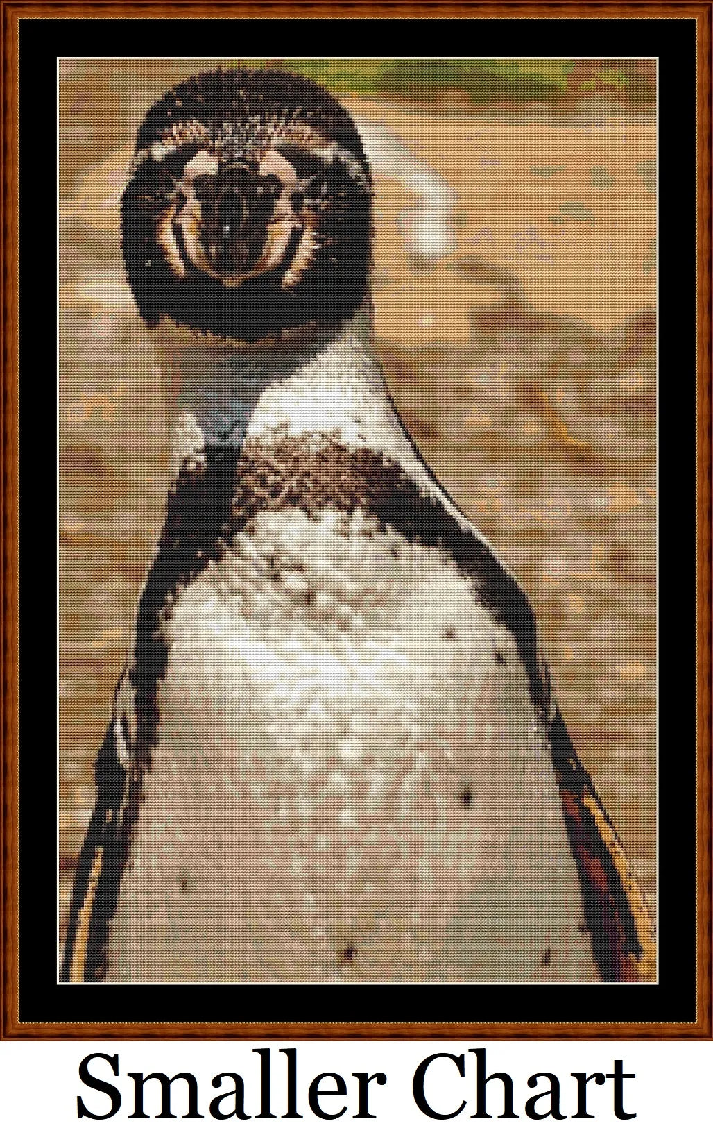 Hello There penguin patterns created from a photo by Alexa (Alexas_Fotos) under CC0 license