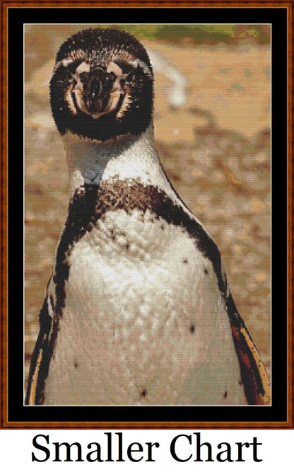 Hello There penguin patterns created from a photo by Alexa (Alexas_Fotos) under CC0 license