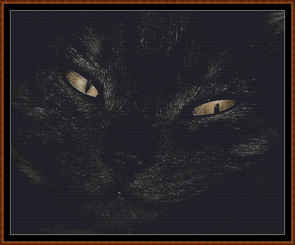 Black Cat  