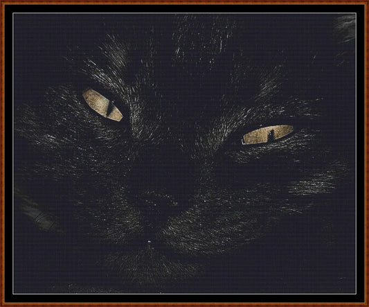 Black Cat  