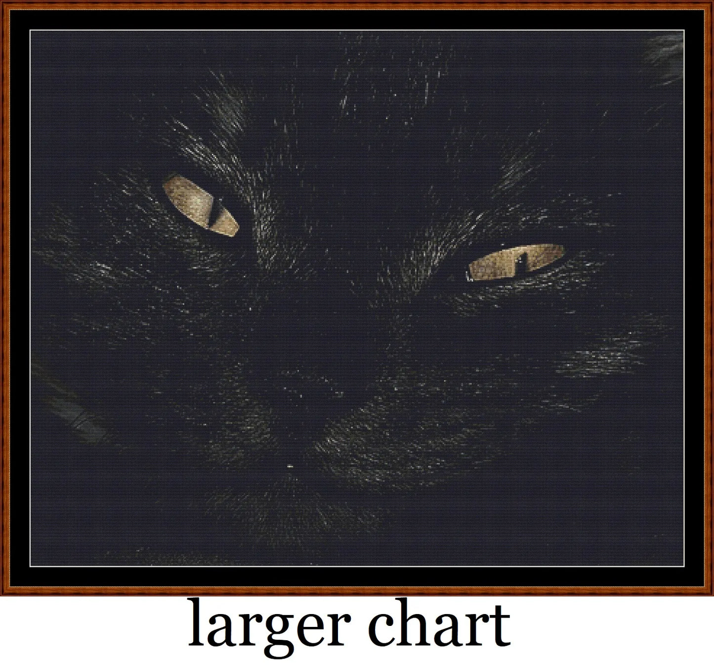 Black Cat  