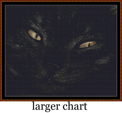 Black Cat  