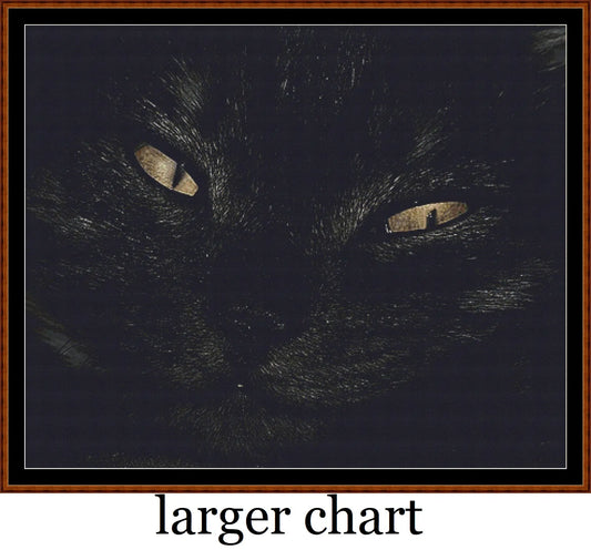 Black Cat  