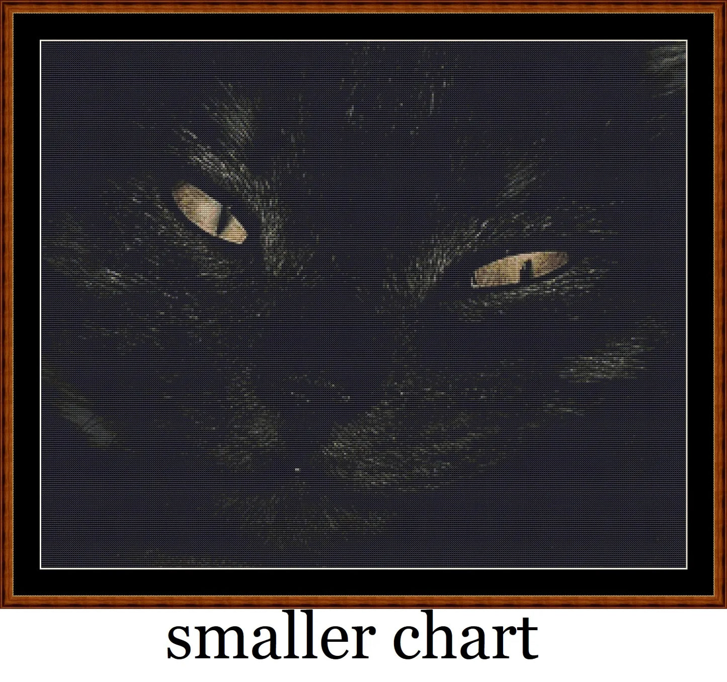Black Cat  