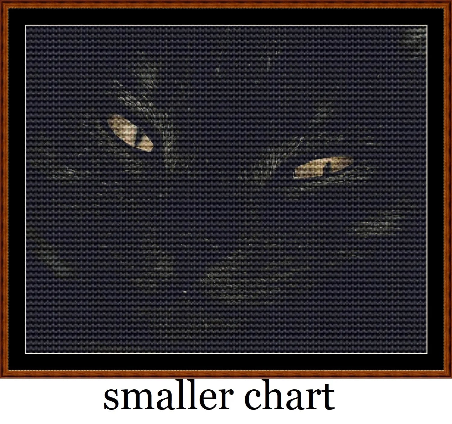 Black Cat  