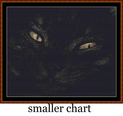 Black Cat  
