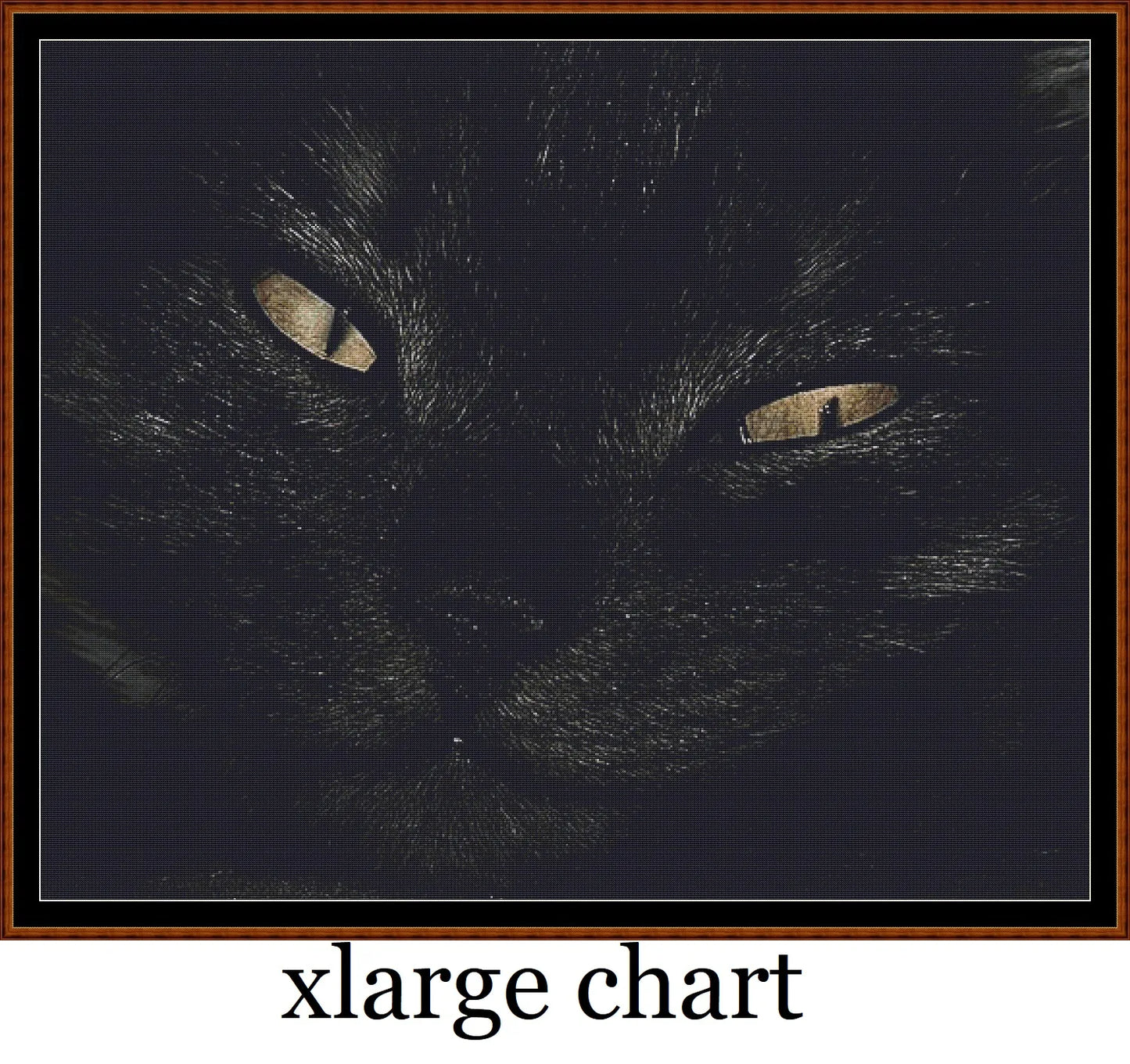 Black Cat  