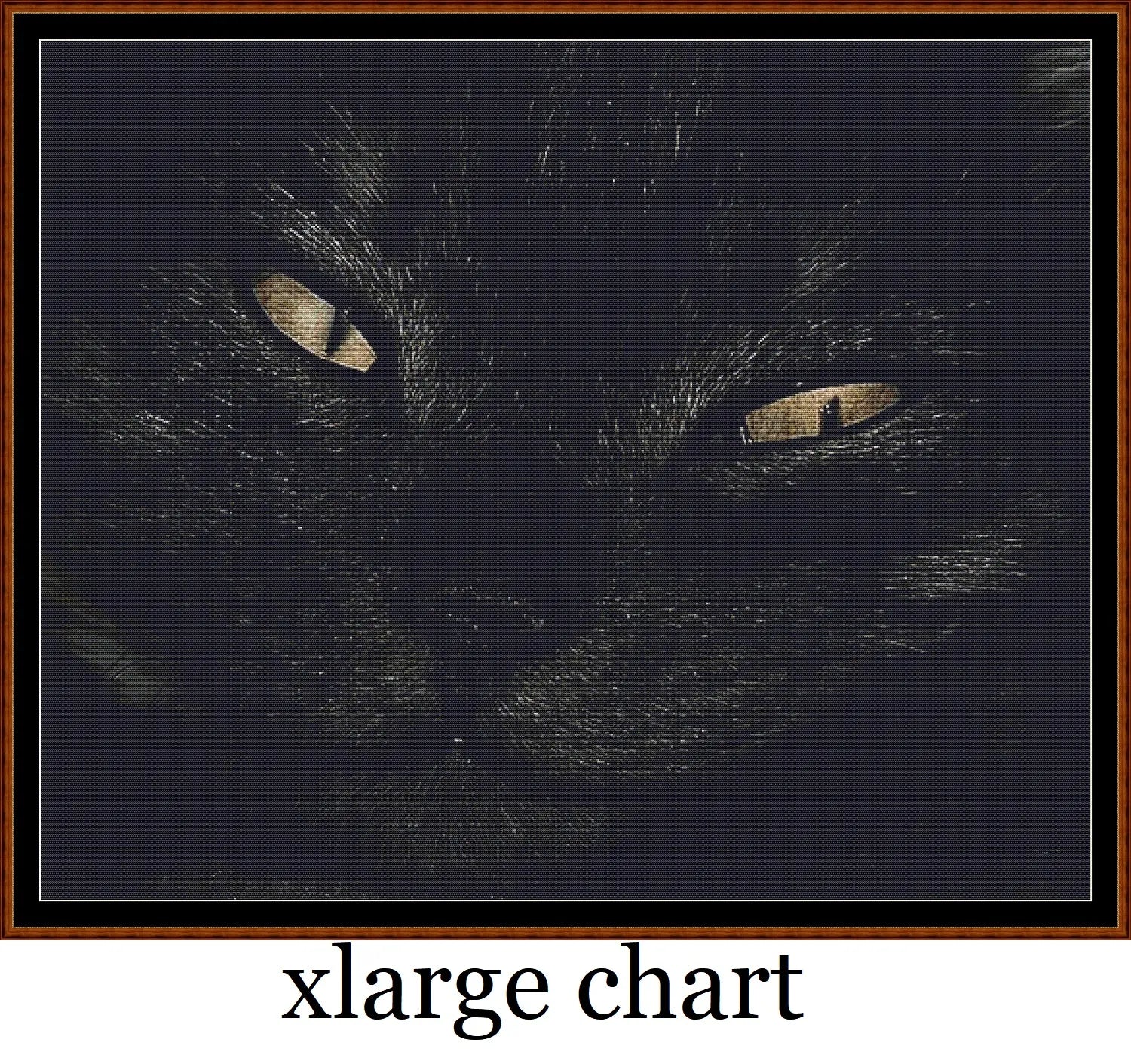 Black Cat  