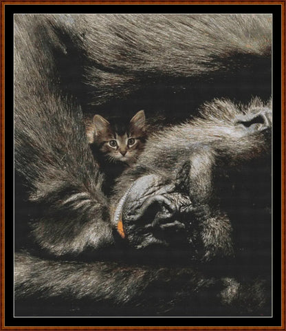 Protection  