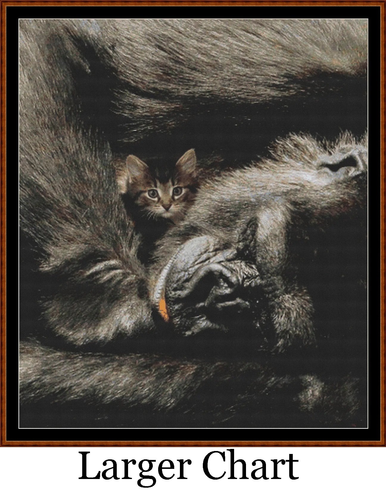 Protection  