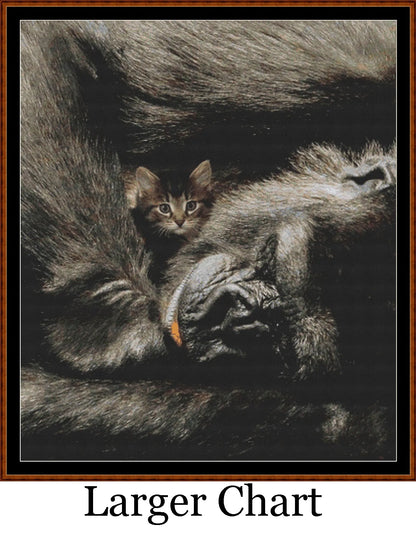 Protection  
