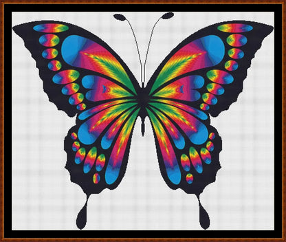 Rainbow Butterfly  