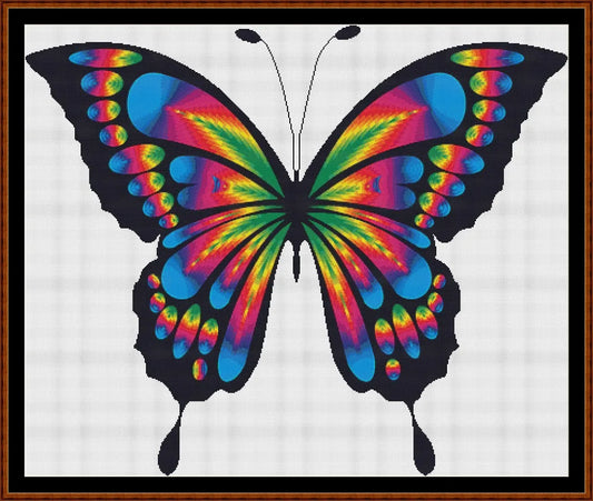 Rainbow Butterfly  