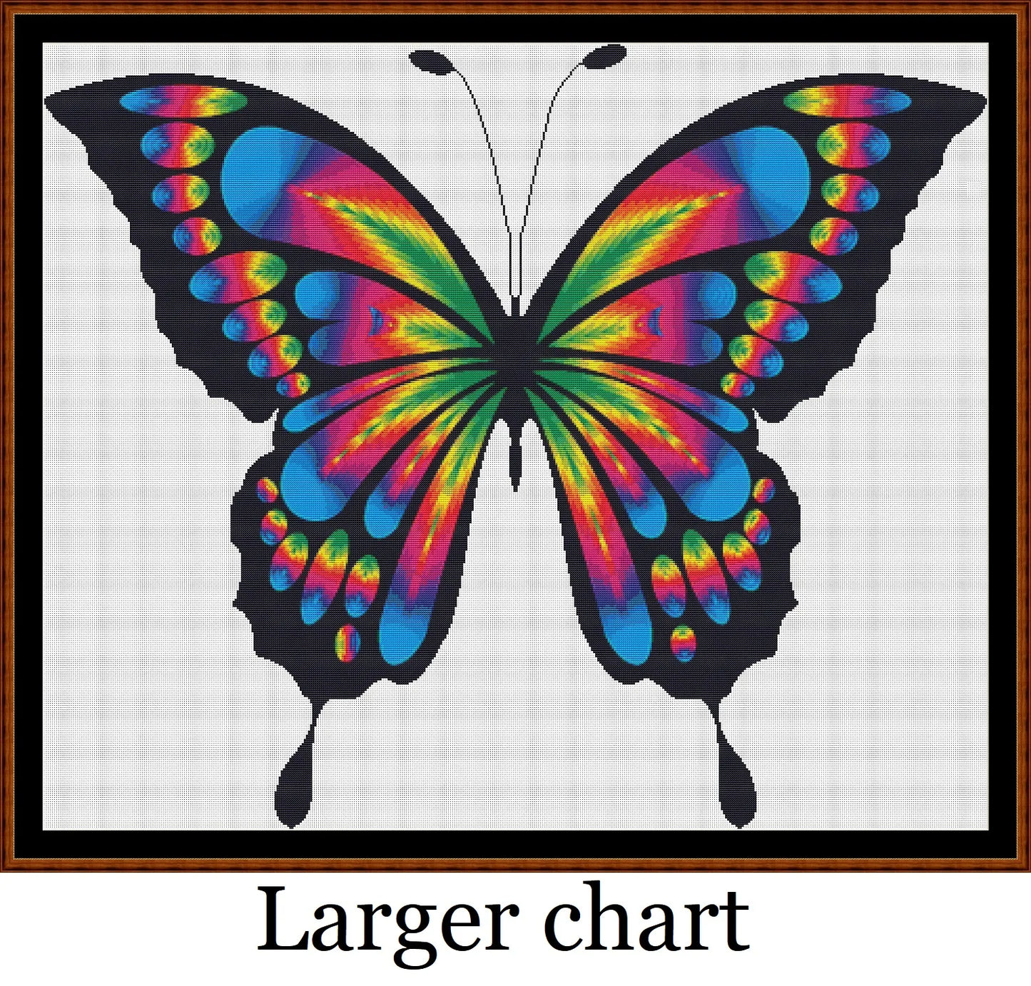 Rainbow Butterfly  