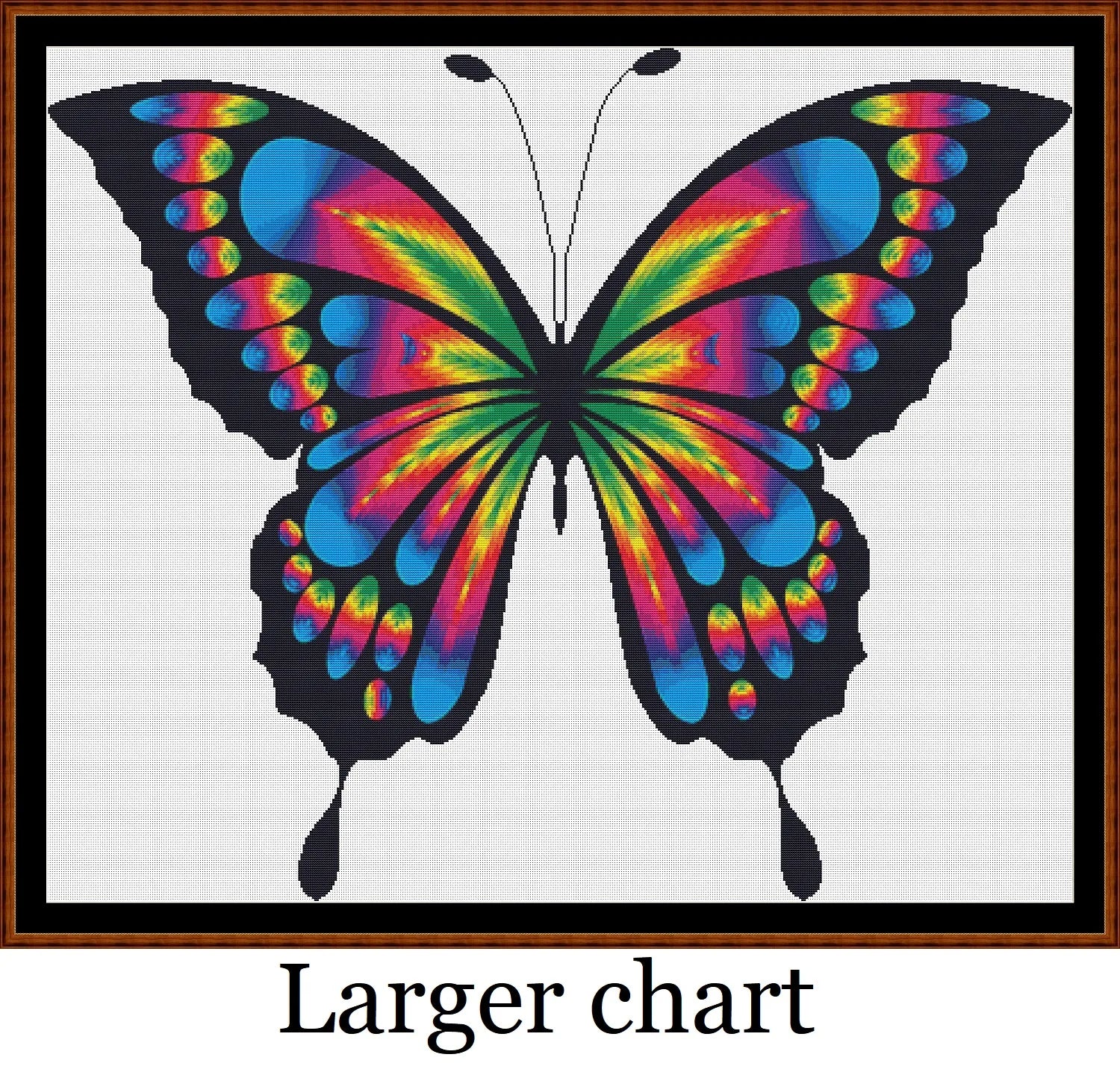 Rainbow Butterfly  