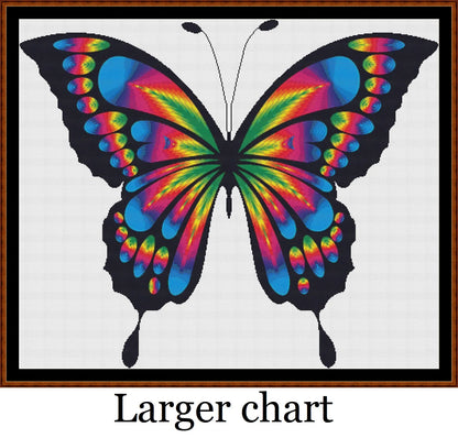 Rainbow Butterfly  