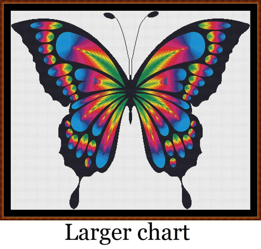 Rainbow Butterfly  