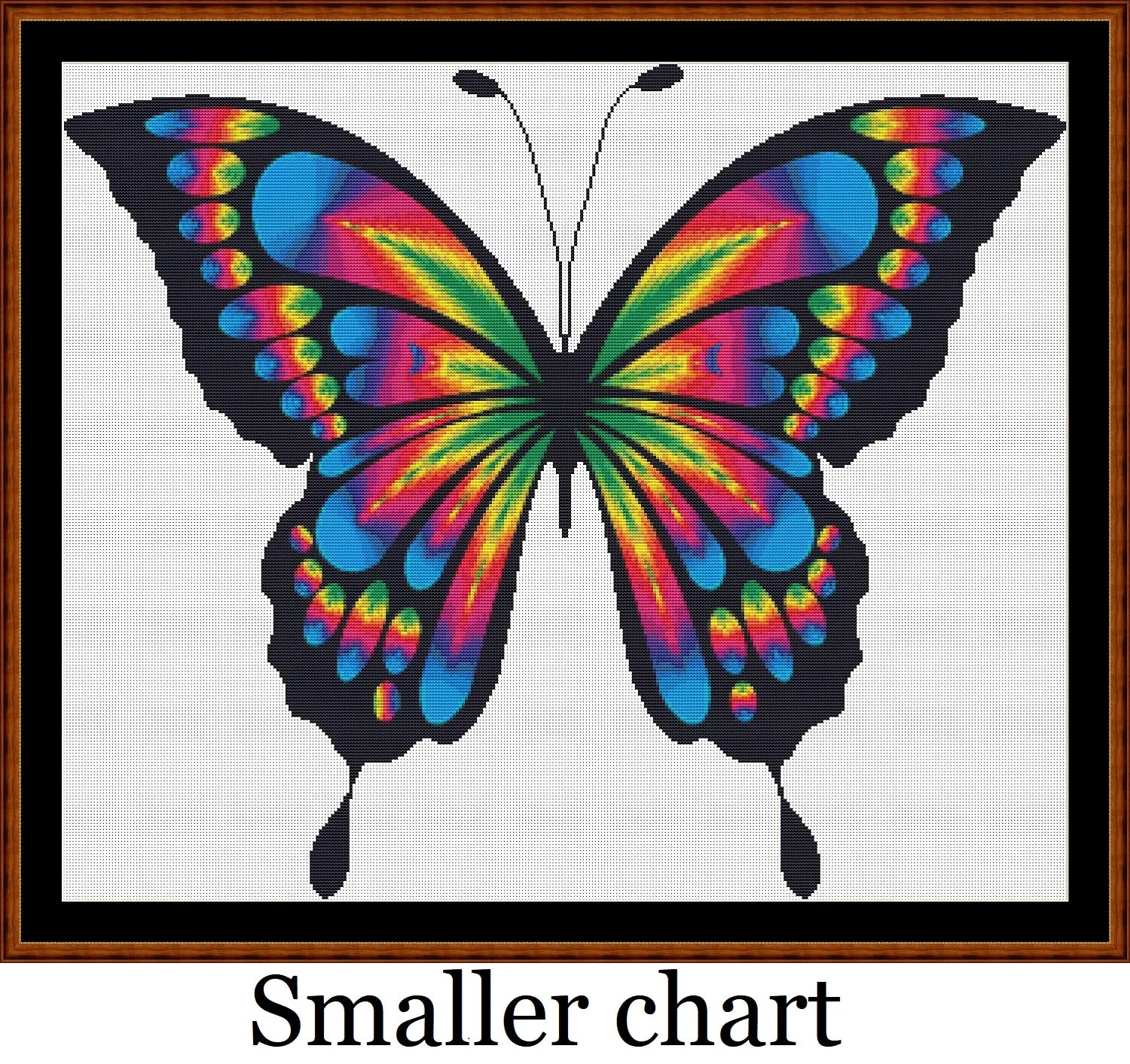 Rainbow Butterfly  