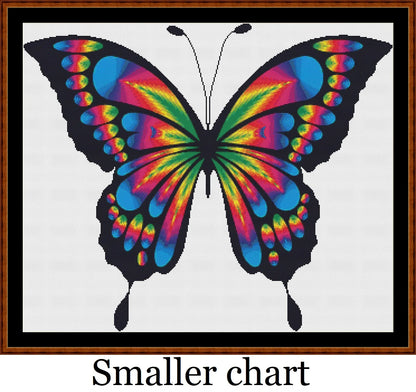 Rainbow Butterfly  
