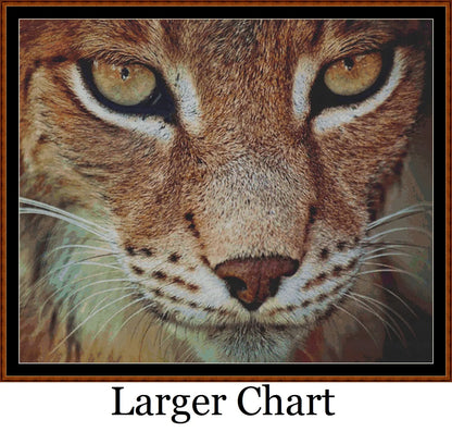 The Lynx  