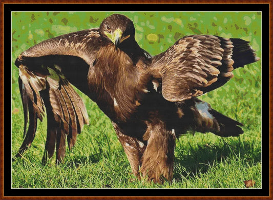 Eagle Strut  