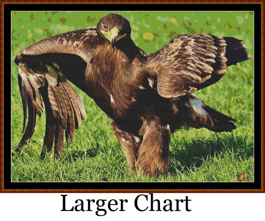 Eagle Strut  