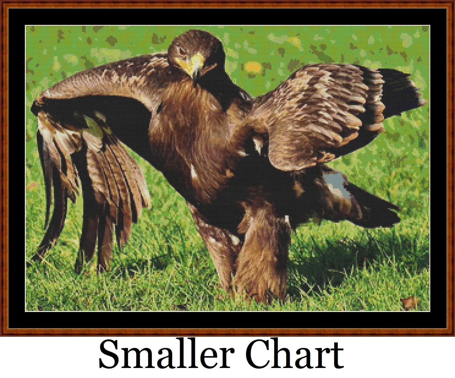 Eagle Strut  