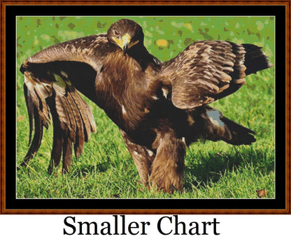 Eagle Strut  