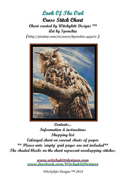 Look Of The Owl  